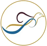 Manhattan Pain Medicine, PLLC